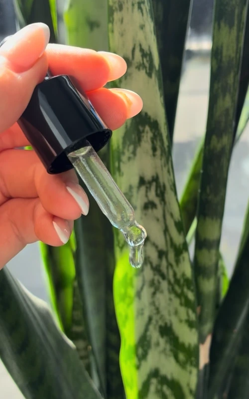 A drop of serum on the dropper